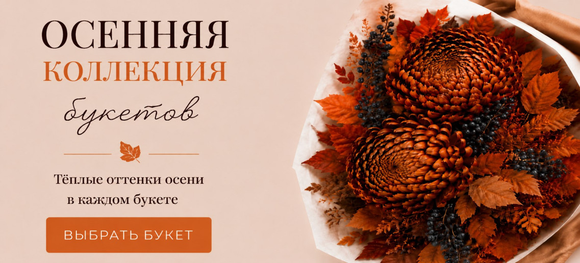 Наша осеняя коллекция