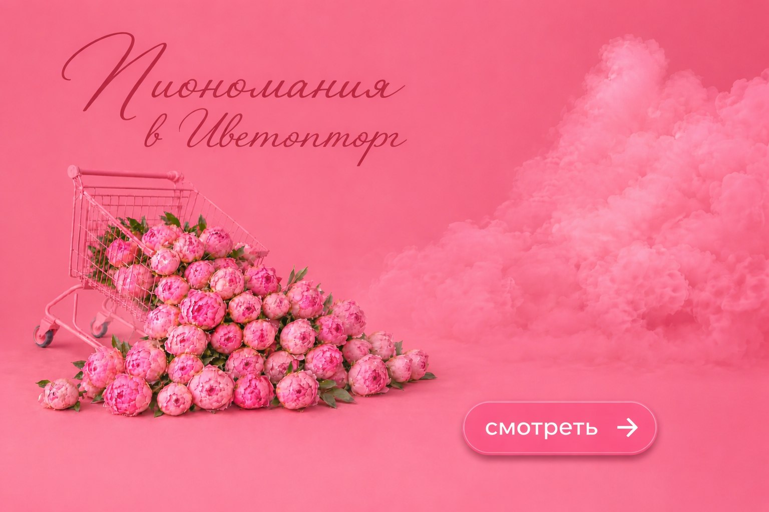Пиономания